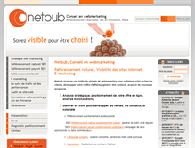 Tablet Screenshot of netpub.fr